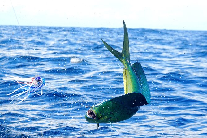 1/2 Day 5 Hour Offshore Fishing Charter - A good setup for first-time anglers