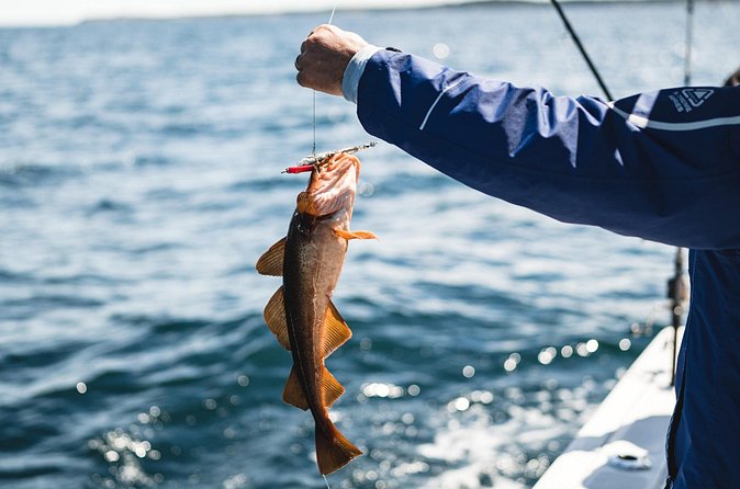 2 Hour Fishing Experience in Halifax - Georges Island and the return route
