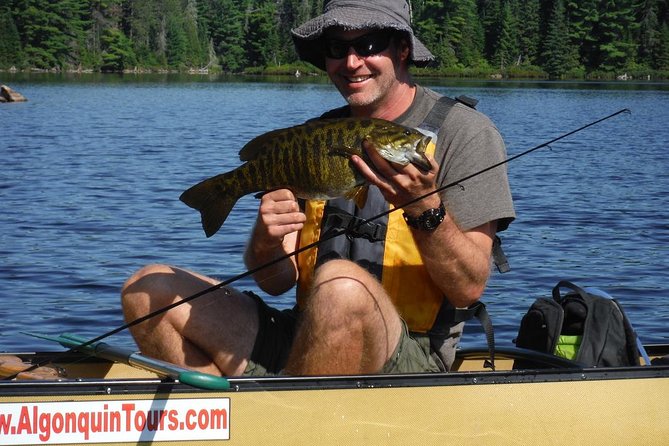 3 Hour Algonquin Park Bass & Trout Fishing (private- price is for 1 or 2 people) - Three hours on a selected Algonquin lake