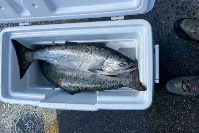 3 Hour Fishing Experience/Class in Juneau - Waders, rain gear, and the limits of the setup