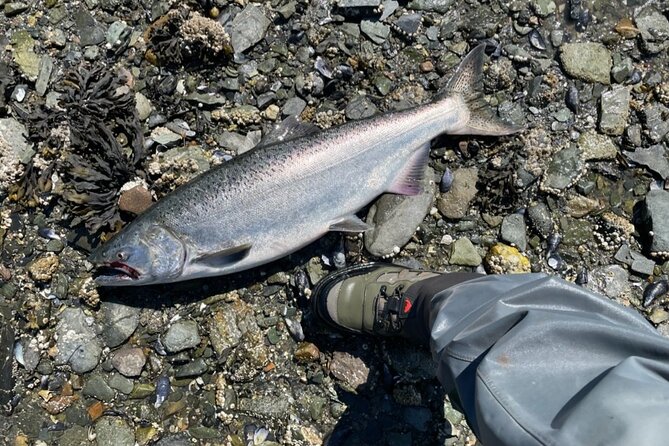 3 Hour Fishing Experience/Class in Juneau - The odds of catching a silver salmon