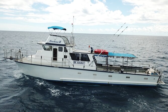 3-Hour Honolulu Bottom Fishing Adventure - Gear, bait, and help from the crew
