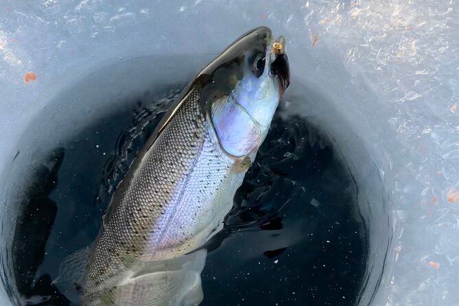 3 Hour Ice Fishing Experience - Cooking your catch on the ice