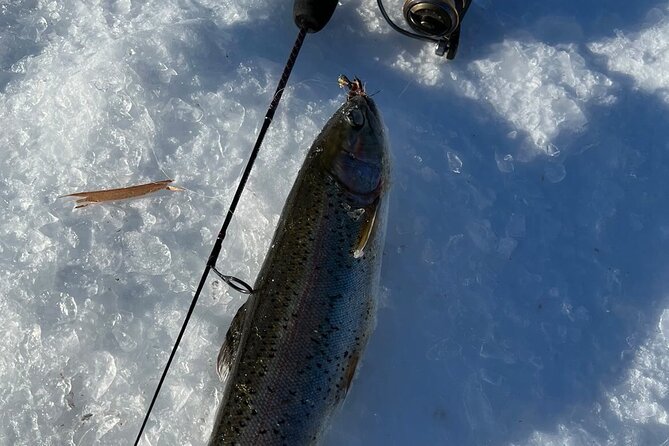 3 Hour Ice Fishing Experience - Is the $145 price fair?