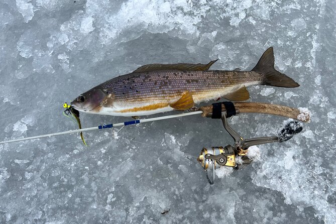 3 Hour Ice Fishing Experience - What happens when you arrive at the meeting point