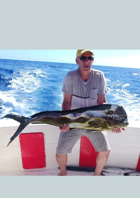 4 hour deep sea fishing experience from punta cana - Key points before you book