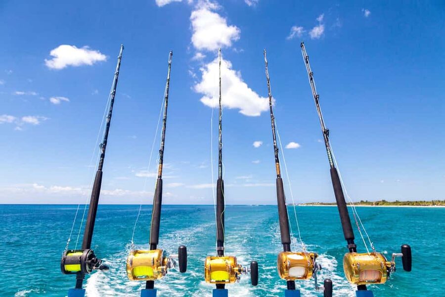 4 hour deep sea fishing experience from punta cana - What this Punta Cana fishing trip really is