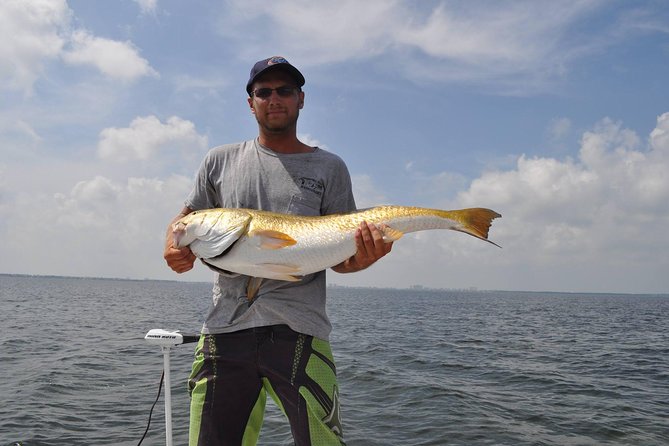 4 hour Fishing Charter with a Tampa Native - The fish you may target around Tampa Bay