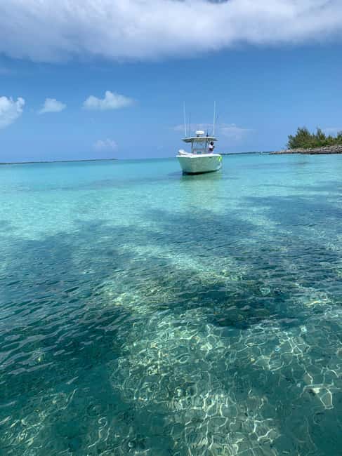 4 hour Fishing or Snorkeling - Should You Book the Four-Hour Nassau Charter?
