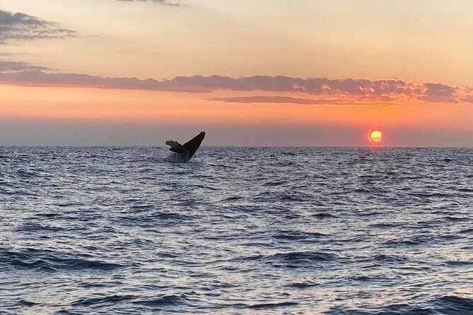 4 Hour Private Sunset Fishing Charter - Weather and cancellation rules are worth noting