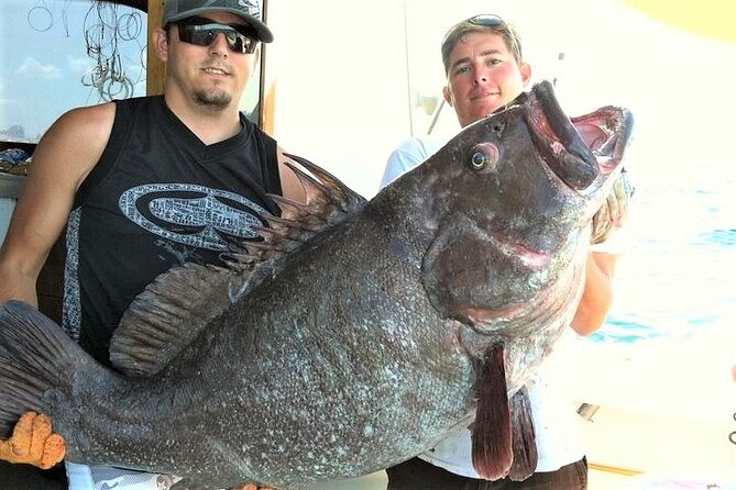 4-Hour Shared Big Game Deep Sea Fishing Charter in Fort Lauderdale - What happens after you catch a fish