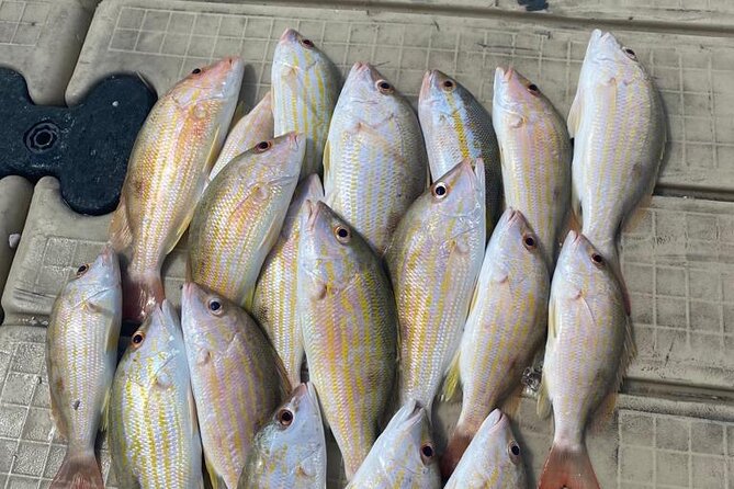 4HR-Halfday Private Fishing Tour in Gracebay - Why the private group setup matters