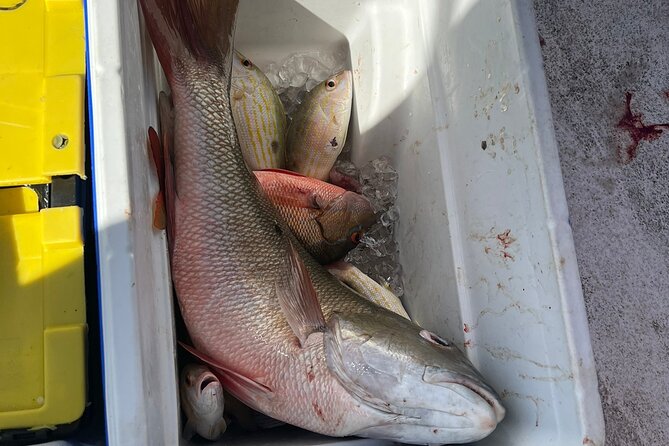 4HR-Halfday Private Fishing Tour in Gracebay - The important concern: boat maintenance and cancellations