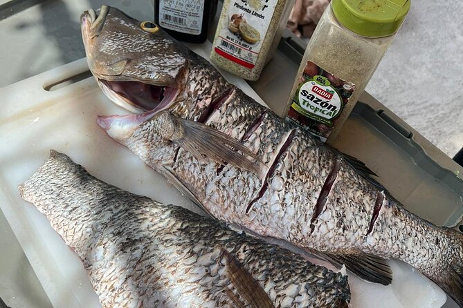 4HR-Halfday Private Fishing Tour in Gracebay - Who will get the most from this charter