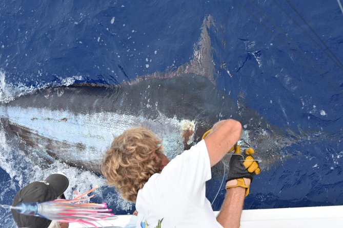 6 Hour Fishing Charter - Key points before you book