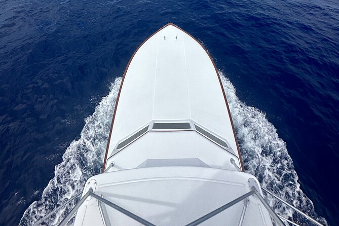6 Hour Fishing Charter - Who should book this Kona fishing charter?