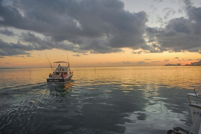 6-Hour Shared Fishing Tour - The fish you may actually catch
