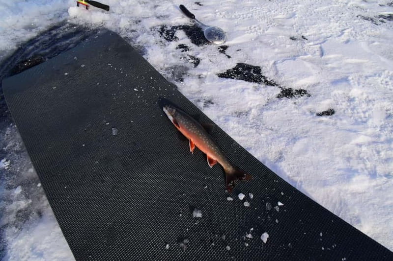 Abisko: Ice Fishing Experience - Booking Details That Matter