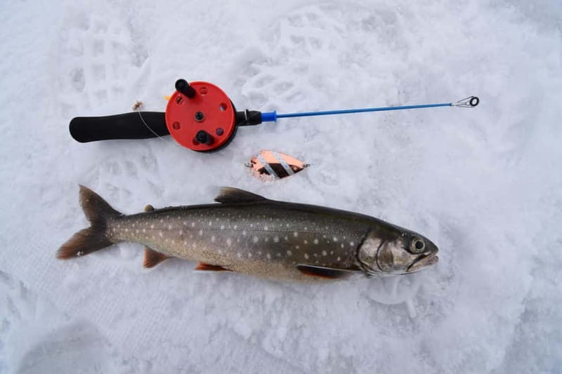 Abisko: Ice Fishing Experience - Should You Book Ice Fishing in Abisko?