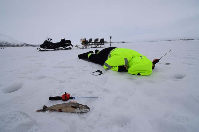 Abisko: Ice Fishing Experience - Watching Fish Through Clear Arctic Water