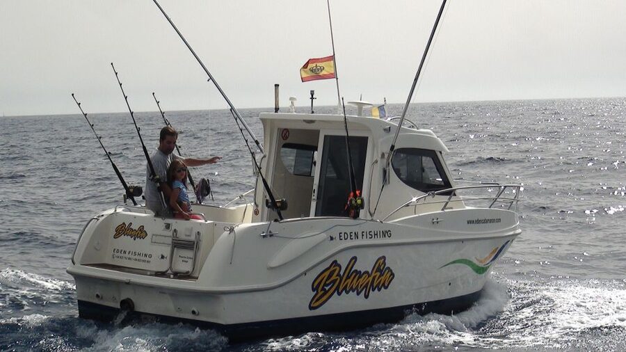 Adeje: 3.5–Hour Professional Fishing Experience - Key points at a glance