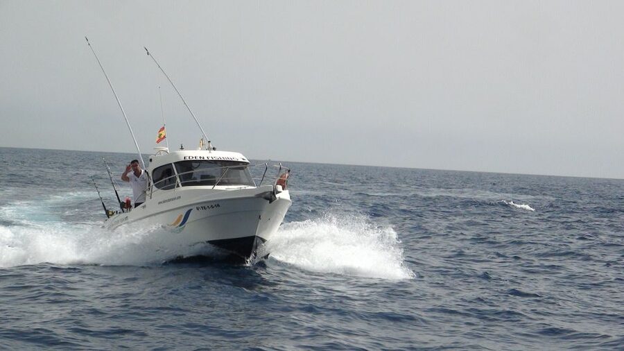 Adeje: 3.5–Hour Professional Fishing Experience - Fishing Tenerife from Puerto Colón