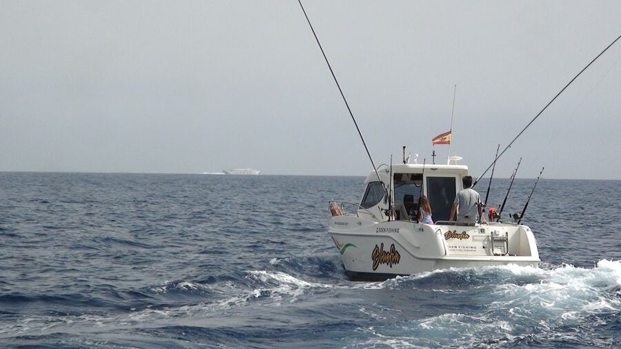 Adeje: 3.5–Hour Professional Fishing Experience - What the 3.5-hour schedule feels like