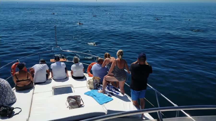 Agadir: Boat Trip with Fishing, Swimming, and BBQ Lunch - Who will enjoy this coastal outing