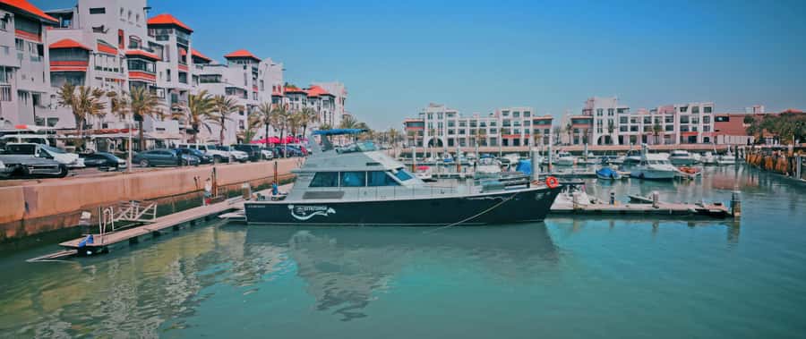 Agadir: Half-Day Boat Trip with Fishing and BBQ Lunch - Who should book this Atlantic outing
