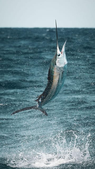 Alanya: Fishing Tour with Equipment and Lunch - Who will enjoy this outing most