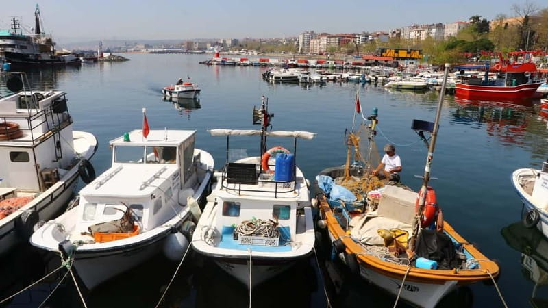 Alanya: Fishing Tour with Lunch and Hotel Transfers - Key points before you book