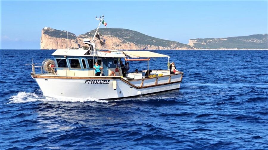 Alghero: Gulf of Alghero Fishing Boat Trip with Fresh Lunch - Swimming and snorkeling near Capo Caccia