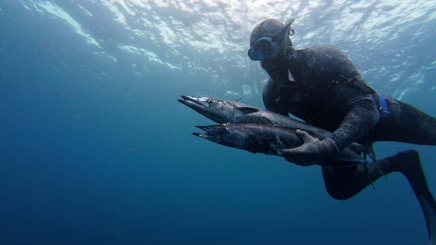 Amed: Spearfishing, Freediving and Catch & Cook Adventure - Key points to know before booking