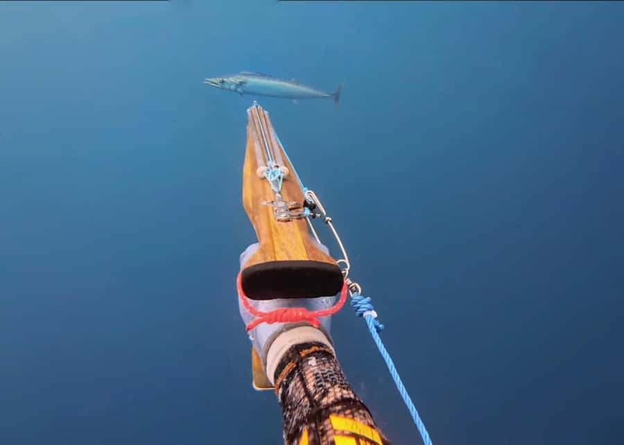 Amed: Spearfishing, Freediving and Catch & Cook Adventure - Starting in central Amed, close to the sea