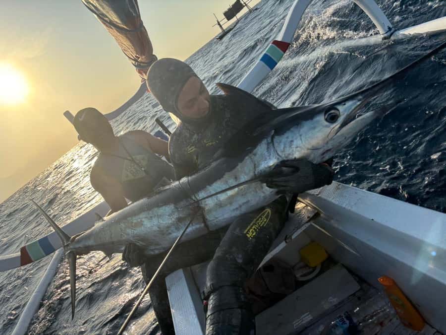 Amed: Spearfishing, Freediving and Catch & Cook Adventure - Three and a half hours of guided hunting