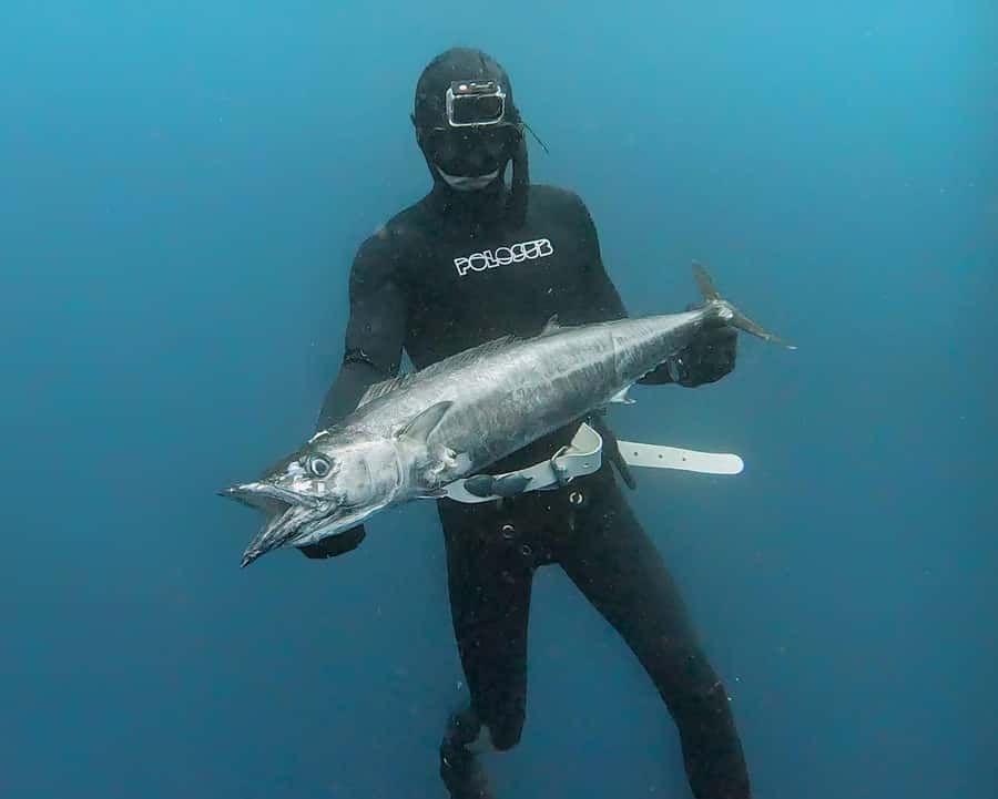 Amed: Spearfishing, Freediving and Catch & Cook Adventure - Who will enjoy this Amed adventure