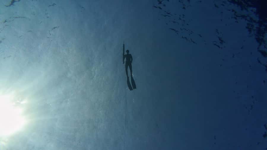 Amed: Spearfishing, Freediving and Catch & Cook Adventure - Should you book the Amed spearfishing trip?