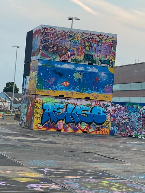 Amsterdam: Urban Bike Tour, Graffiti Art & Magnet Fishing - NDSM and the city’s changing street art