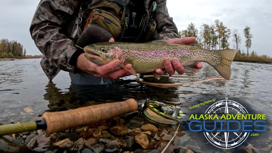 Anchorage: Full-day guided fly-fishing with Hotel Pickup - Six hours of fishing, not six hours of driving