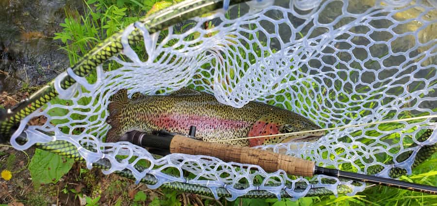 Anchorage: Full-day guided fly-fishing with Hotel Pickup - Walking the stream in hip waders