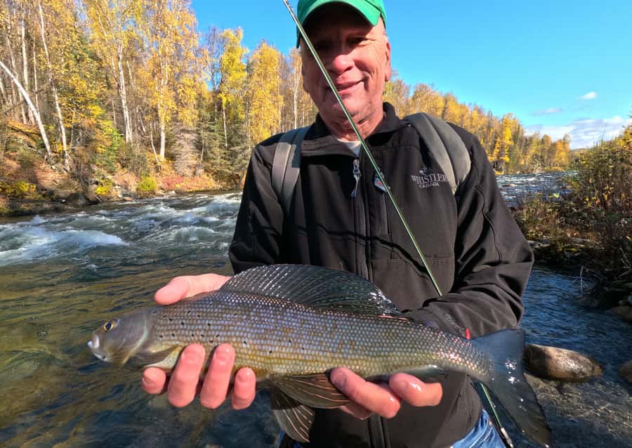Anchorage: Full-day guided fly-fishing with Hotel Pickup - Equipment, licenses, and what the $359 covers