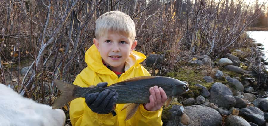 Anchorage: Full-day guided fly-fishing with Hotel Pickup - Who should book this Anchorage fishing day?