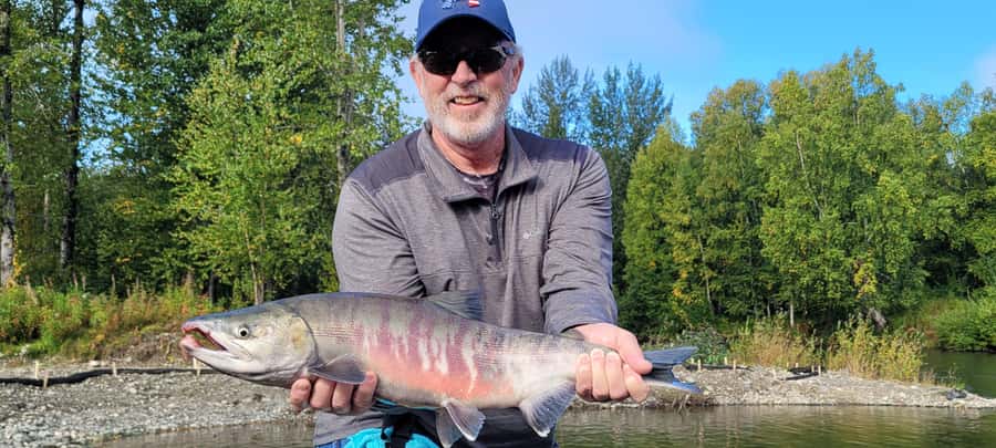 Anchorage: Full-day guided salmon fishing with Hotel Pickup - Key points to know before booking