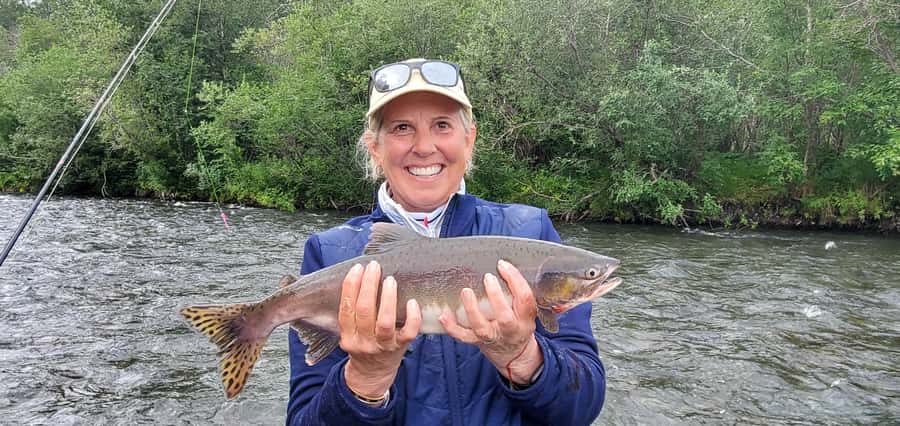 Anchorage: Full-day guided salmon fishing with Hotel Pickup - Five hours of hands-on salmon fishing