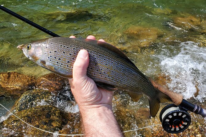 Anchorage Guided Fly-fishing with transportation - Is $339 a fair price?