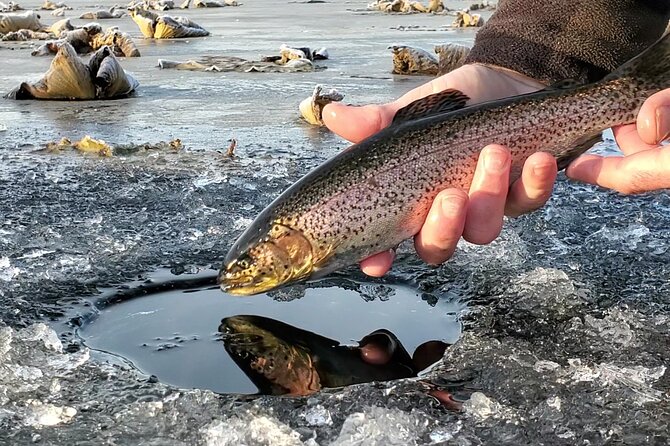 Anchorage Ice Fishing Adventure with transportation - Key points to know before you book