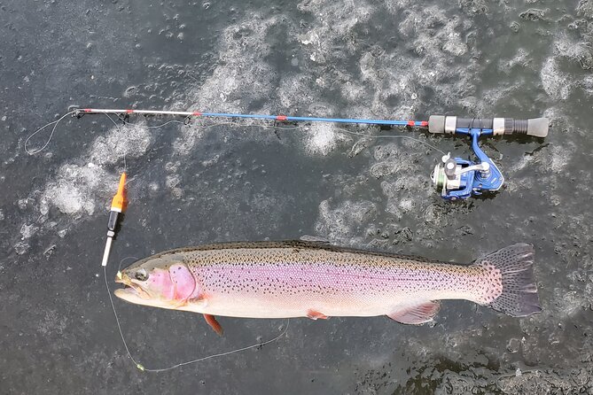 Anchorage Ice Fishing Adventure with transportation - What you might catch through the ice