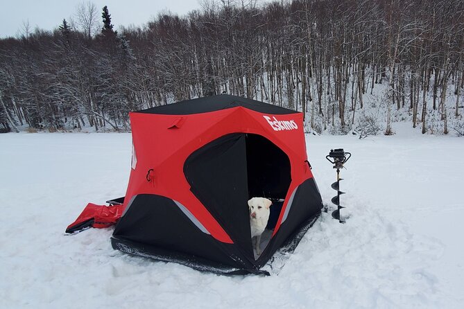 Anchorage Ice Fishing Adventure with transportation - Setting up the heated fishing tent
