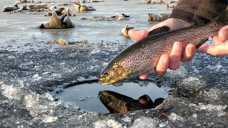 Anchorage: Ice Fishing Trip With Transportation - A frozen-lake outing with real hands-on work