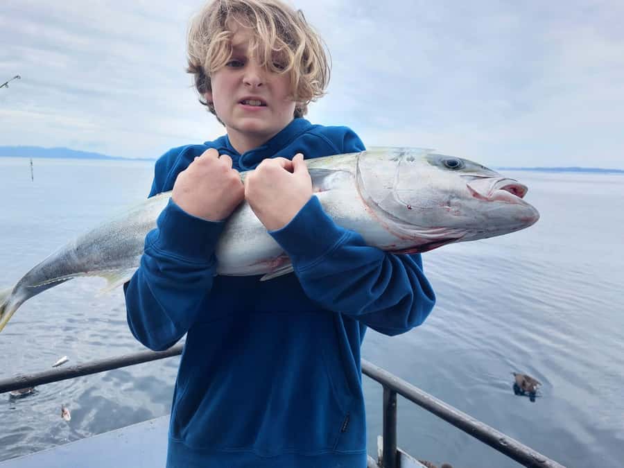 Auckland: Full-Day Fishing Charter (7 am - 4 pm) - Lunch, drinks, and handling your catch